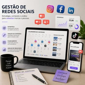 Gestão de Redes Sociais - PLANO 1